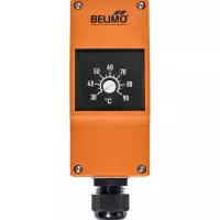 CAPTEURS ToR - Belimo  01HT-101CA - Surveillance de température TW, Commutateur, 30...90°C, Capillarité 1 m, Réinit. automatique